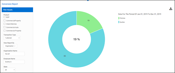 Conversion Report